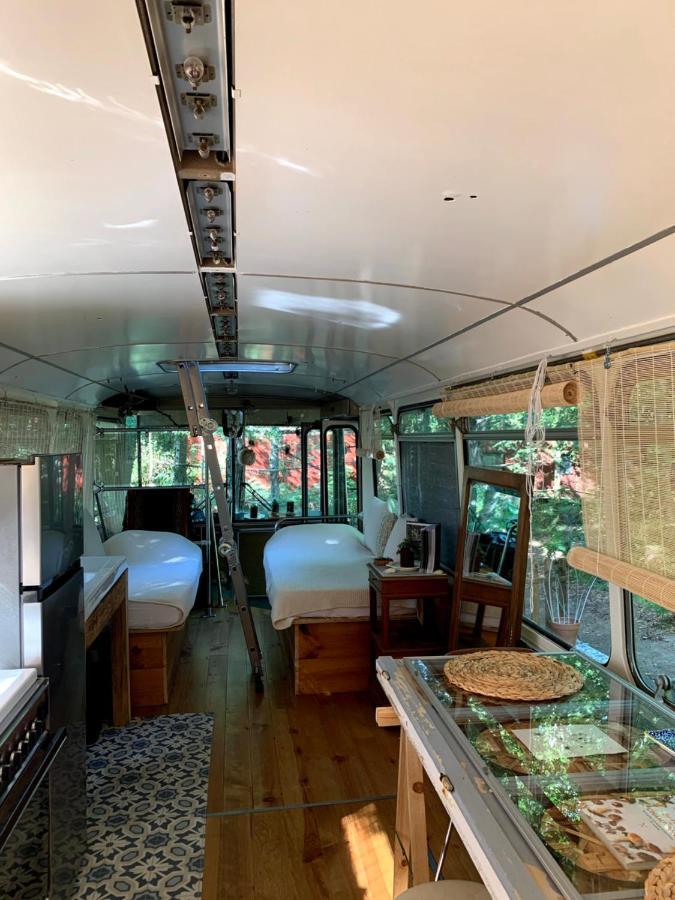 Magic Roof Top Bus With Big Bath In The Tree Forest! Mimizan-Plage Екстериор снимка